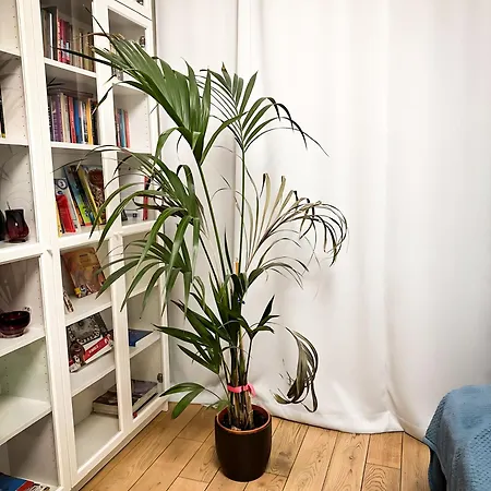 Unitapartament Delux Centrum Blisko Plac Zbawiciela Hala Koszyki Metro Politechnika Jest To Elegancki I Wygodny Na I W Warszawie - Zapraszamy Апартаменты *