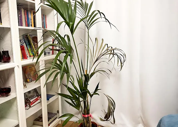 Unitapartament Delux Centrum Blisko Plac Zbawiciela Hala Koszyki Metro Politechnika Jest To Elegancki I Wygodny Na I W Warszawie - Zapraszamy شقة *